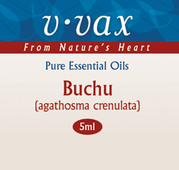 Buchu